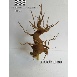 Cây bonsai mẫu BS3