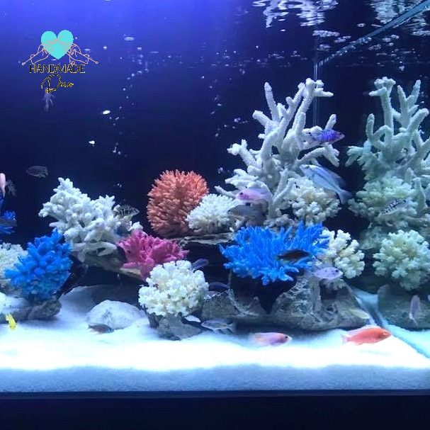San hô  lũa  trang trí bể cá, thủy sinh
