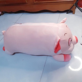 gấu bông miniso