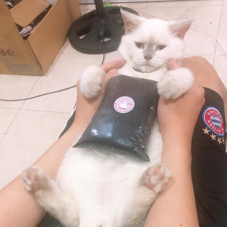 Combo đất dinh dưỡng trồng cây trồng cỏ lúa mạch