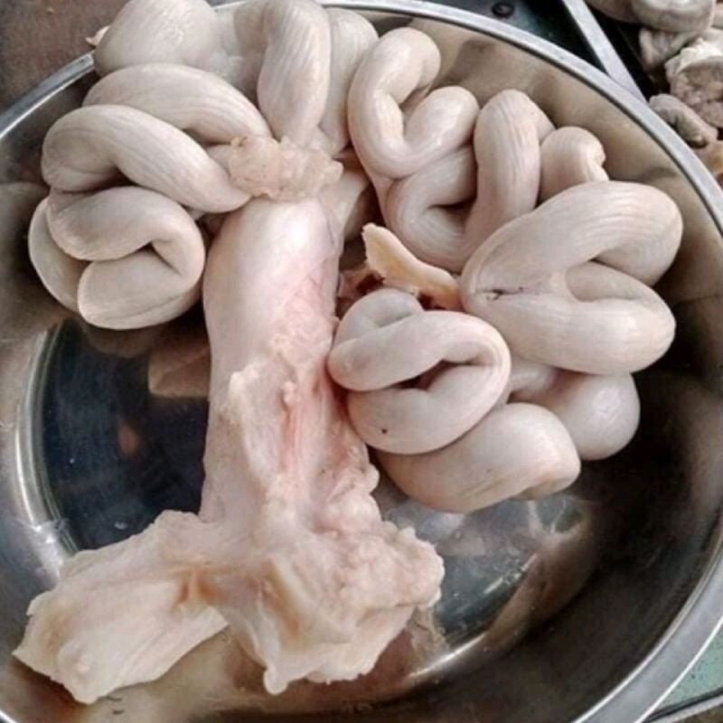 HOẢ TỐC HCM - DỒI TRƯỜNG CÓ CUỐN 2,5KG