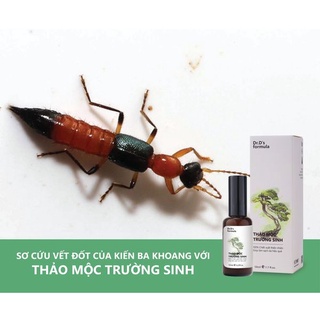 Thảo Mộc Trường Sinh