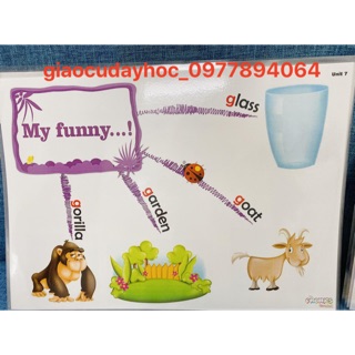 Mindmap MY PHONICS  1 - ( Size A3-ép plastics)