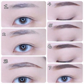 CHÌ KẺ MÀY NGANG 2 ĐẦU