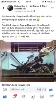 Phân nền Anubias soi Oliver Knott 3L
