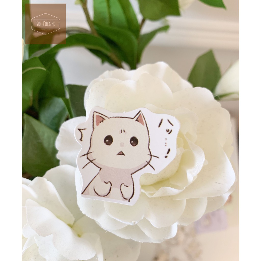 Set hộp sticker Mèo trắng cute