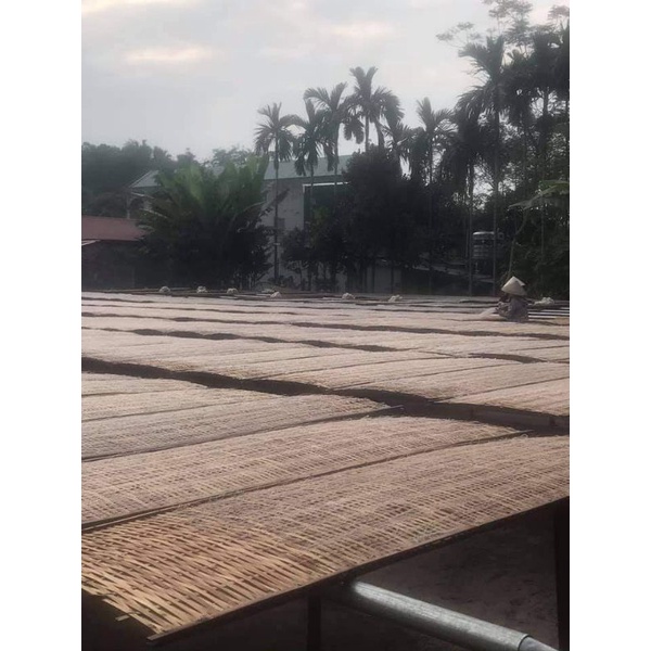 Miến dong Giới Phiên 1kg - Đặc sản Yên Bái