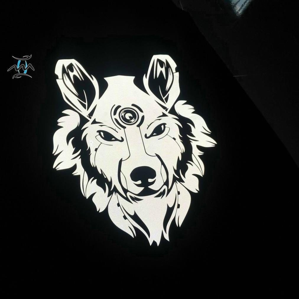 Áo Khoác Dù PHẢN QUANG Nam Nữ Đều Mặc Được Kiểu Bomber In Phản Quang Hình Chó Sói Đơn Giản Phối Màu Đa Dạng Siêu Hot