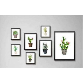 Tranh canvas combo 7 tranh hoa sen đá và xương rồng kèm khung
