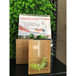 Hồ show cá /Keo show cá mica