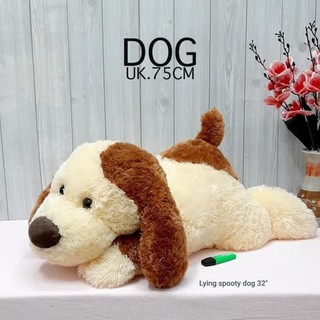 Chó Husky nhồi bông mềm mại 70cm  Phụ kiện búp bê  DoChoiChoTre.Com