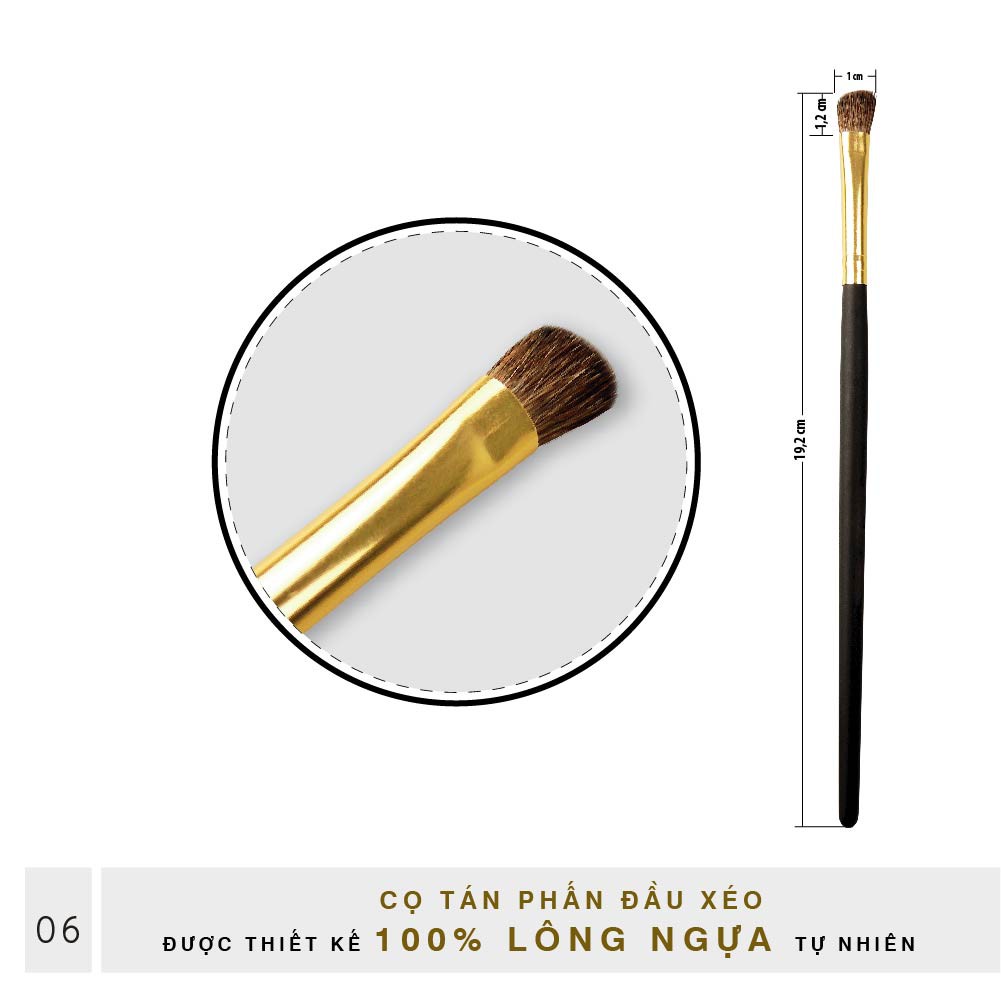 Set Cọ Trang Điểm Mắt Đầu Xéo BEALY