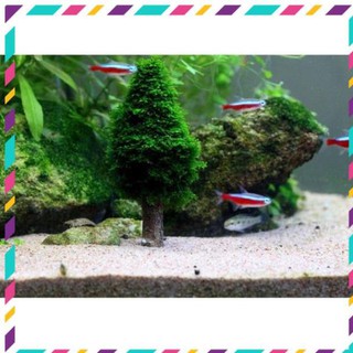 [Siêu Rẻ] Lũa bonsai cây thông noel trang trí bể cá thuỷ sinh