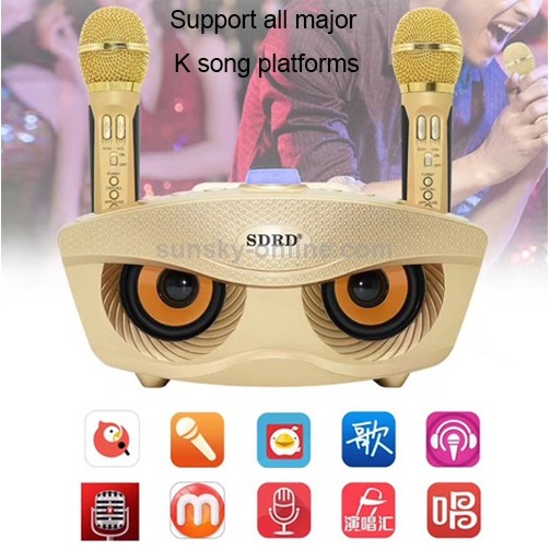 Loa karaoke SDRD 306 ⚡𝑪𝑶̂𝑵𝑮 𝑺𝑼𝑨̂́𝑻 𝑳𝑶̛́𝑵⚡ Loa karaoke bluetooth mini di động, Tặng Kèm 2 Micro không Dây, Âm thanh lớn