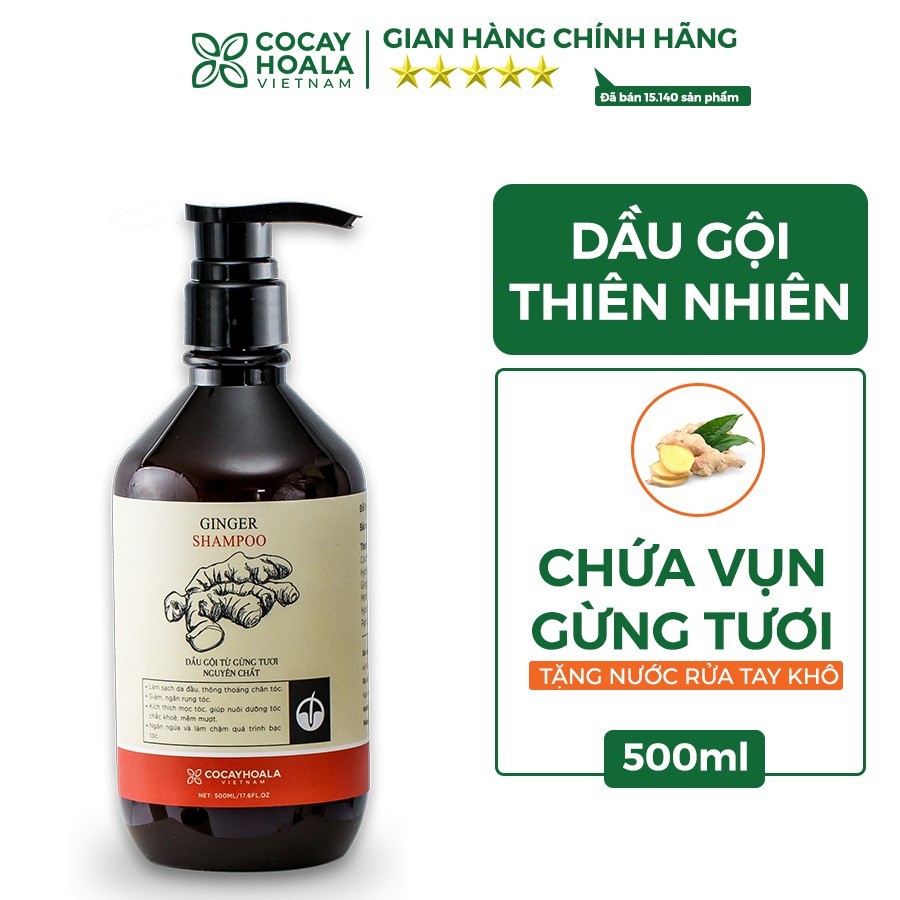 Dầu gội đầu gừng - Bộ Dầu Gội Xả Chiết Xuất Gừng Dừa An Toàn Cho Mẹ Sau Sinh Cocayhoala 500 ml | BigBuy360 - bigbuy360.vn