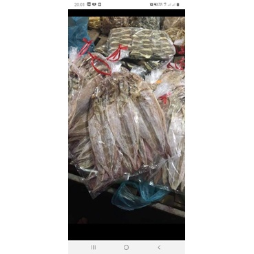 Combo 5 con mực y hình