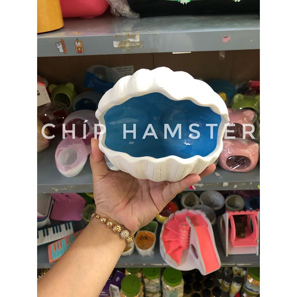 Nhà sứ sò Hamster [lớn,nhỏ]