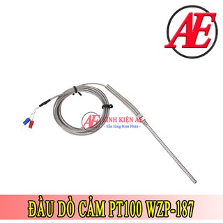 Đầu Dò Cảm Biến Nhiệt Độ PT100 WZP-187