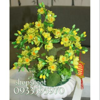 Cây mai pha lê cao 35cm