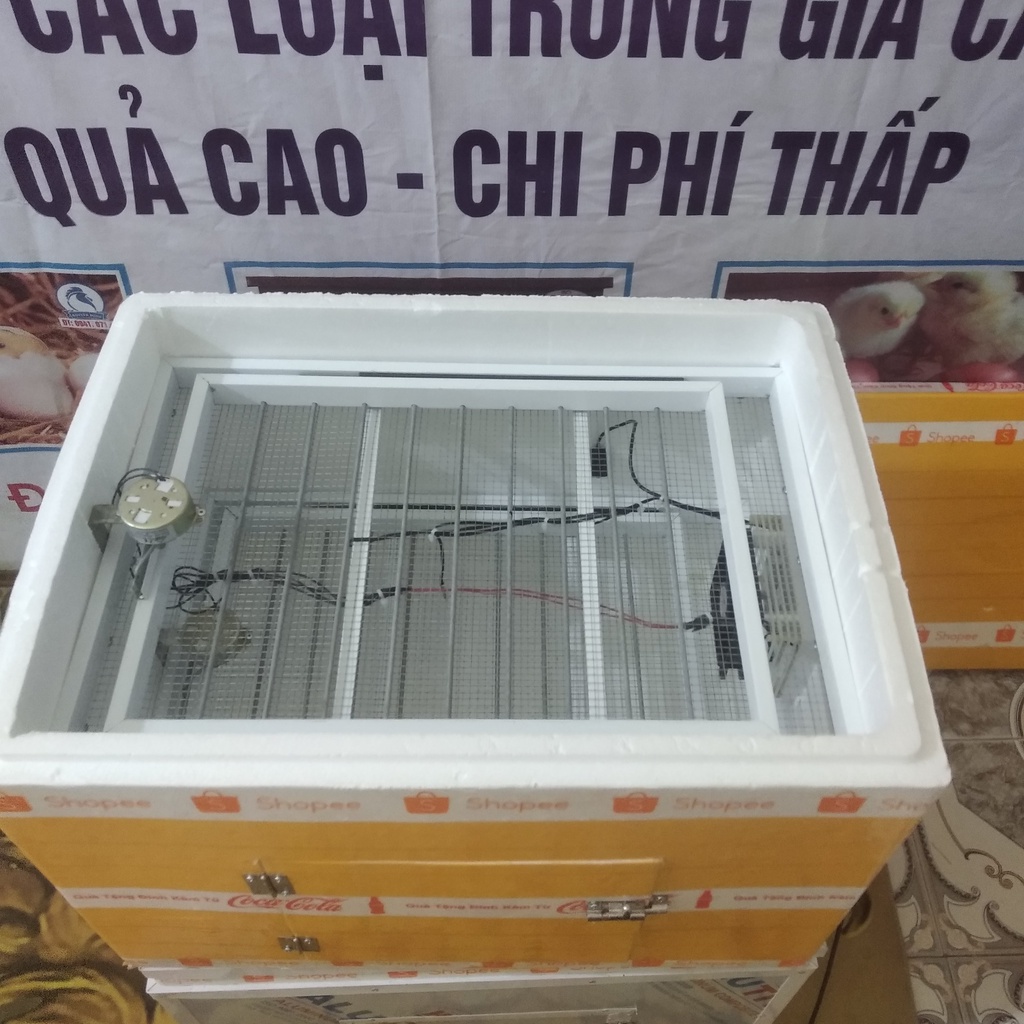Máy Ấp 120 Trứng Vỏ Xốp Tự Động Có Thùng Về Ấp Luôn