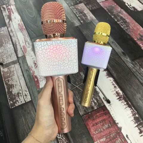 Micro Karaoke Bluetooth SD-12L