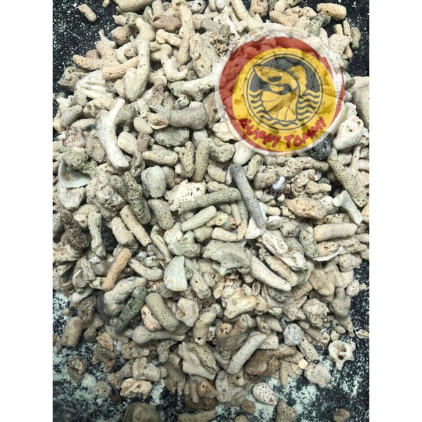 San Hô vụn (200g-500g-1kg)- vật liệu lọc, cải tạo nước và trang trí hồ cá cảnh