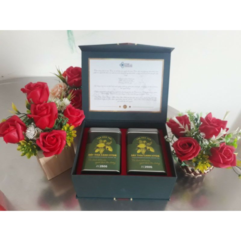 Trà hòa tan Dây thìa canh Hygie | BigBuy360 - bigbuy360.vn