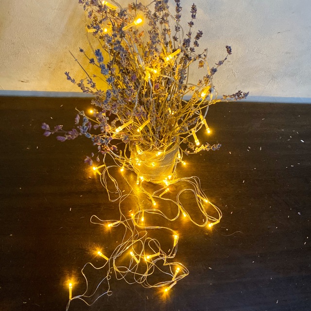 BỘ 2 DÂY ĐÈN LED 8M 50 BÓNG ĐOM ĐÓM VÀNG NẮNG KHÔNG CHỚP XÀI ĐIỆN | BigBuy360 - bigbuy360.vn