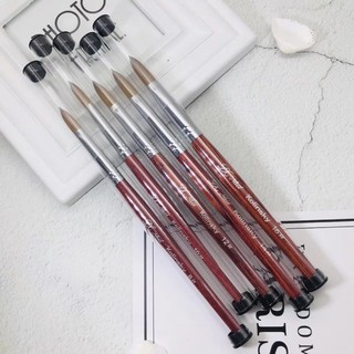 Cọ Đắp Bột Nail Size 16 Cán Gỗ Kolinsky Germany