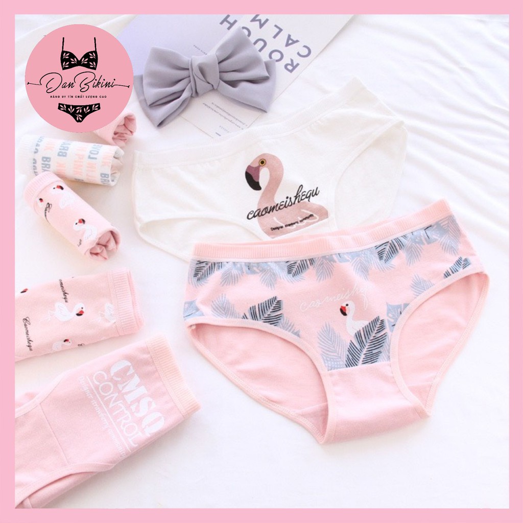 Quần Lót Nữ Cotton 100% kháng khuẩn thoáng mát ❤️ Quần Chip dễ thương hồng Flamingo mã B807 | BigBuy360 - bigbuy360.vn