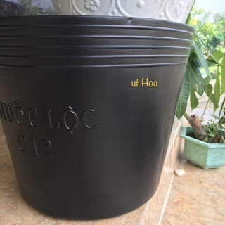 [Giá RẺ]   Chậu nhựa đen C12 trồng cây kiểng ,trồng hoa,trồng rau (dày) chất đẹp.