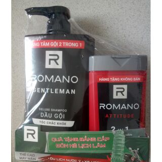 Romano - Dầu gội cao cấp Romano Gentleman 650g tặng kèm chai tắm 150g