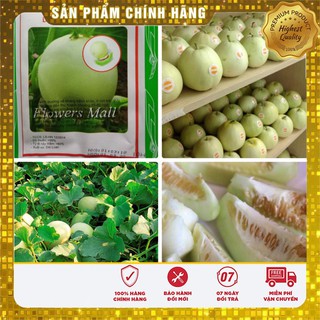 Hạt giống dưa lê tây siêu ngọt