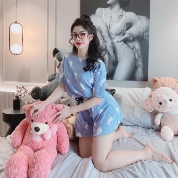 [Mã FASHIONT4WA2 giảm 10K đơn 50K] BÁN SỈ BỘ COTTON HÌNH THÚ QUẦN GIẢ VÁY CUTE ( bảng màu tự chụp )