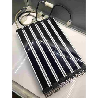 BW40-06 CẢM BIẾN VÙNG AUTONICS