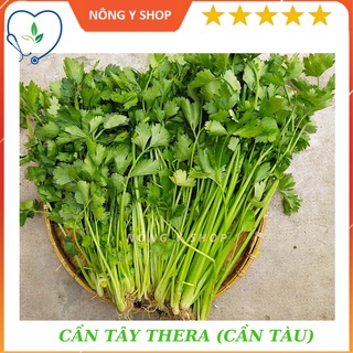 Túi zip 500 hạt- gói 5g - hạt giống cân tàu-cần tây thera rạng đông