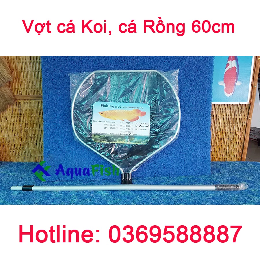 Vợt Cá Koi, Cá Rồng Size Vợt Từ 40cm - 80cm