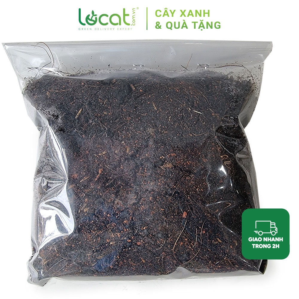 Đất trồng cây trộn sẵn chia lẻ cho sen đá, xương rồng cây cảnh