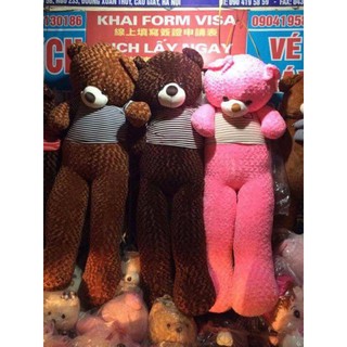 Gấu bông Teddy khổ 1m2 siêu đẹp