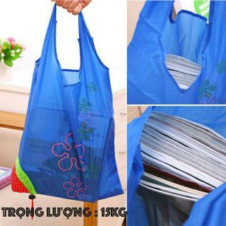 Túi Gấp Gọn Thành Quả Dâu