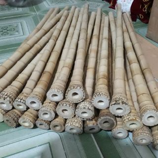 Phôi tiêu trúc bạch