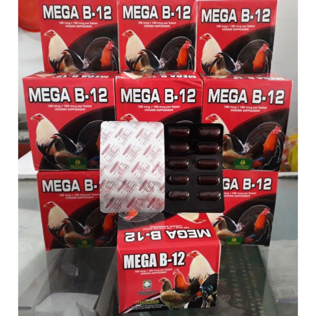 1 hộp Mega b12. Thuốc nuôi gà đá