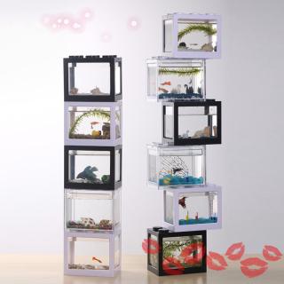 Bể Cá Mini Siêu Bền Độc Đáo