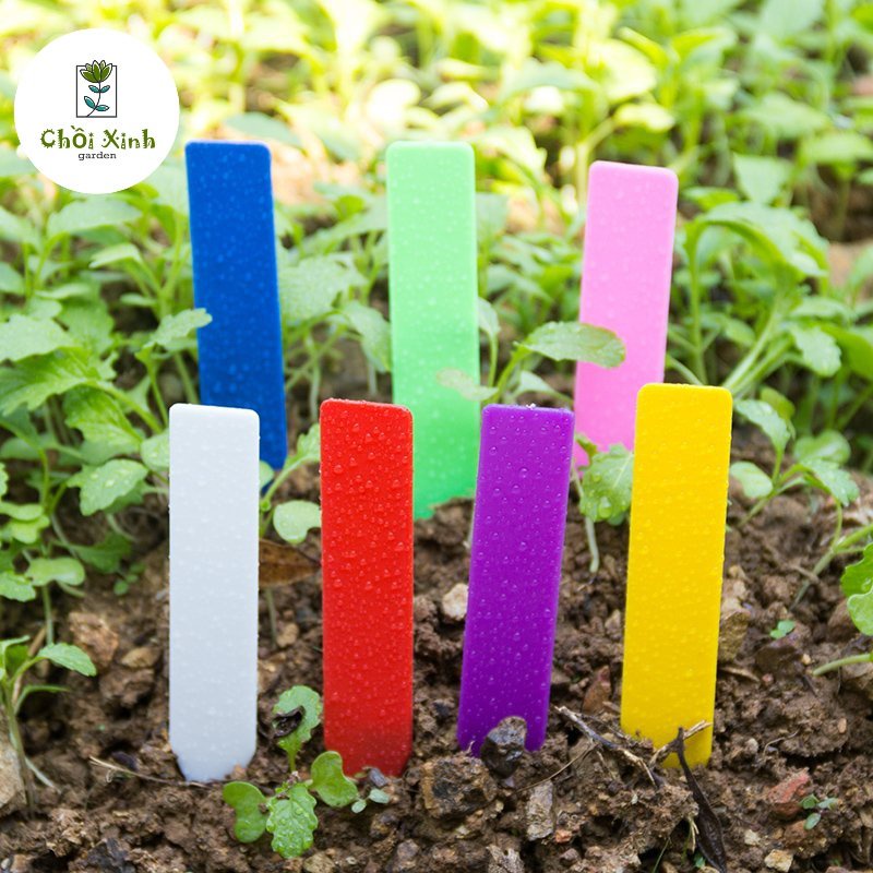 | Nhựa cứng | Set thẻ mũi tên ghi tên đánh dấu cây trồng