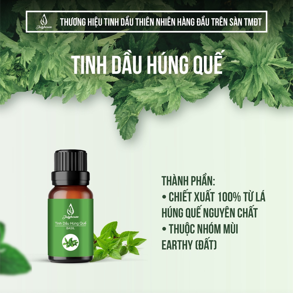 Tinh dầu Húng Quế 10ml Julyhouse