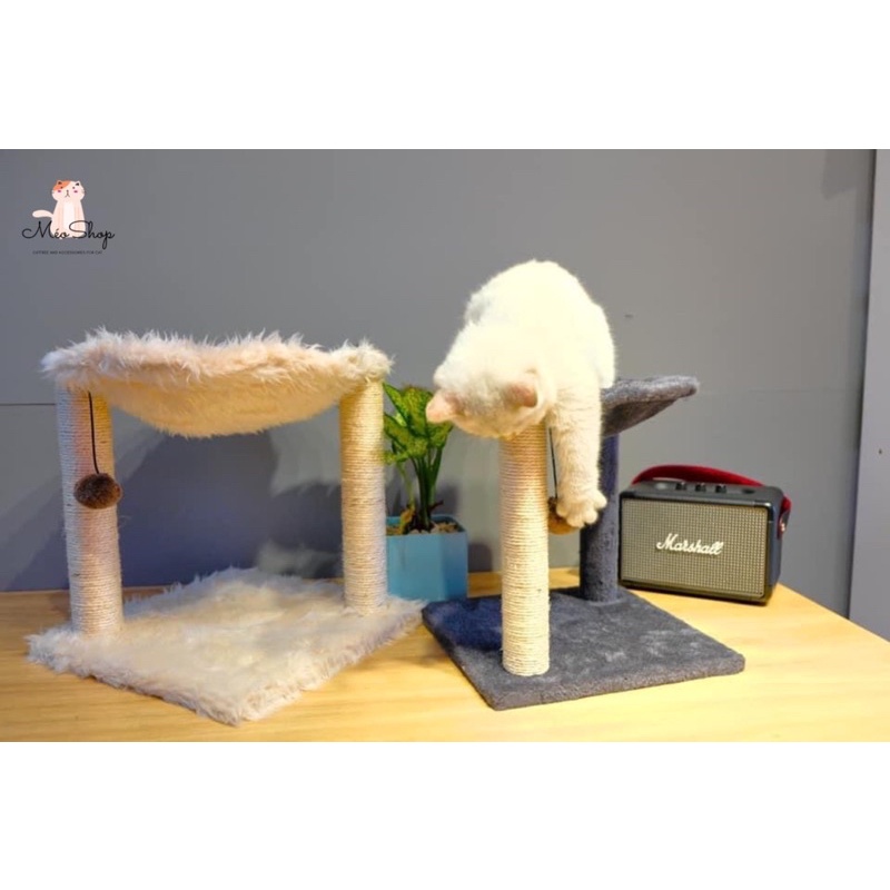 Nhà Cây Võng Siêu Chill Cho Boss 😻tặng kèm súp thưởng