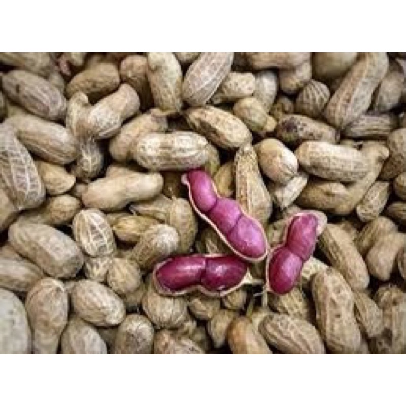 Đỗ lạc / đậu phộng đỏ Thái Bình bịch 1kg