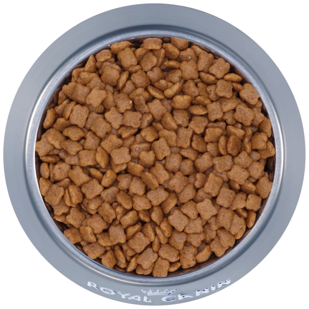 Hạt thức ăn cho mèo - Royal canin kitten 1kg ( zip) - Xuất xứ Pháp - HÀNG CHÍNH HÃNG