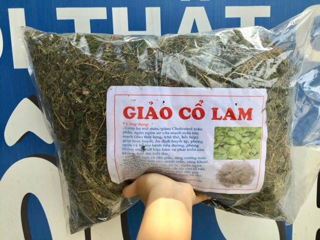 Giảo Cổ Lam 5 lá Hoà Bình