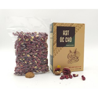NHÂN HẠT ÓC CHÓ ĐỎ 500GRAM- SẢN PHẨM KHÔNG SỬ DỤNG THUỐC TRỪ SÂU- HẠT NGON